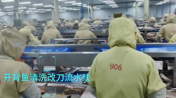 开背.png